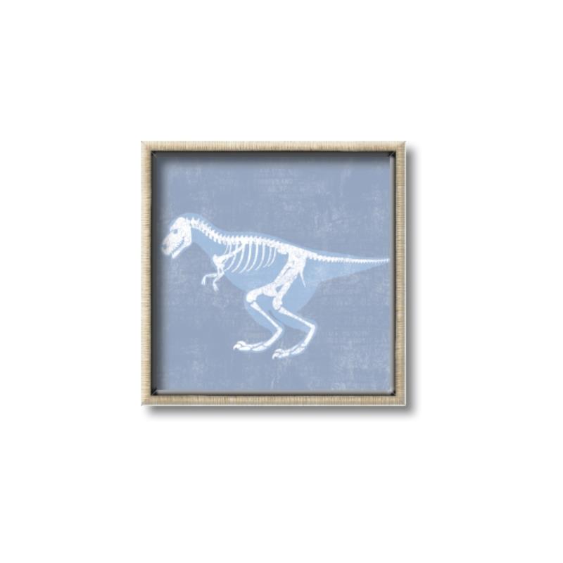 Picture of Blue X-ray Dino II _GroupedProduct_Square_Mini_ _GroupedProduct_Square_Canvas_Framed_
