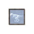 Picture of Blue X-ray Dino II _GroupedProduct_Square_Mini_ _GroupedProduct_Square_Canvas_Framed_