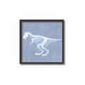 Picture of Blue X-ray Dino II _GroupedProduct_Square_Mini_ _GroupedProduct_Square_Canvas_Framed_