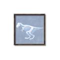 Picture of Blue X-ray Dino II _GroupedProduct_Square_Mini_ _GroupedProduct_Square_Canvas_Framed_
