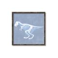 Picture of Blue X-ray Dino II _GroupedProduct_Square_Mini_ _GroupedProduct_Square_Canvas_Framed_