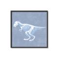 Picture of Blue X-ray Dino II _GroupedProduct_Square_Mini_ _GroupedProduct_Square_Canvas_Framed_