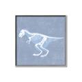 Picture of Blue X-ray Dino II _GroupedProduct_Square_Mini_ _GroupedProduct_Square_Canvas_Framed_