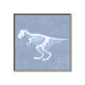 Picture of Blue X-ray Dino II _GroupedProduct_Square_Mini_ _GroupedProduct_Square_Canvas_Framed_