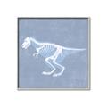 Picture of Blue X-ray Dino II _GroupedProduct_Square_Mini_ _GroupedProduct_Square_Canvas_Framed_