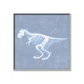 Picture of Blue X-ray Dino II _GroupedProduct_Square_Mini_ _GroupedProduct_Square_Canvas_Framed_