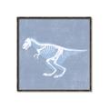 Picture of Blue X-ray Dino II _GroupedProduct_Square_Mini_ _GroupedProduct_Square_Canvas_Framed_