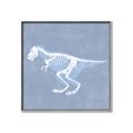 Picture of Blue X-ray Dino II _GroupedProduct_Square_Mini_ _GroupedProduct_Square_Canvas_Framed_