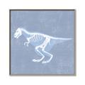 Picture of Blue X-ray Dino II _GroupedProduct_Square_Mini_ _GroupedProduct_Square_Canvas_Framed_