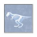 Picture of Blue X-ray Dino II _GroupedProduct_Square_Mini_ _GroupedProduct_Square_Canvas_Framed_