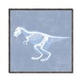 Picture of Blue X-ray Dino II _GroupedProduct_Square_Mini_ _GroupedProduct_Square_Canvas_Framed_