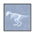 Picture of Blue X-ray Dino II _GroupedProduct_Square_Mini_ _GroupedProduct_Square_Canvas_Framed_