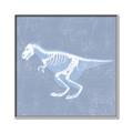 Picture of Blue X-ray Dino II _GroupedProduct_Square_Mini_ _GroupedProduct_Square_Canvas_Framed_