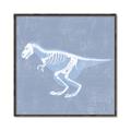 Picture of Blue X-ray Dino II _GroupedProduct_Square_Mini_ _GroupedProduct_Square_Canvas_Framed_
