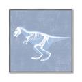 Picture of Blue X-ray Dino II _GroupedProduct_Square_Mini_ _GroupedProduct_Square_Canvas_Framed_