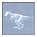 Picture of Blue X-ray Dino II _GroupedProduct_Square_Mini_ _GroupedProduct_Square_Canvas_Framed_