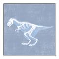 Picture of Blue X-ray Dino II _GroupedProduct_Square_Mini_ _GroupedProduct_Square_Canvas_Framed_