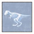 Picture of Blue X-ray Dino II _GroupedProduct_Square_Mini_ _GroupedProduct_Square_Canvas_Framed_