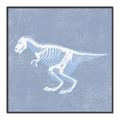 Picture of Blue X-ray Dino II _GroupedProduct_Square_Mini_ _GroupedProduct_Square_Canvas_Framed_