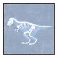 Picture of Blue X-ray Dino II _GroupedProduct_Square_Mini_ _GroupedProduct_Square_Canvas_Framed_