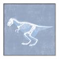 Picture of Blue X-ray Dino II _GroupedProduct_Square_Mini_ _GroupedProduct_Square_Canvas_Framed_