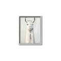 Picture of Brown and White Llama _GroupedProduct_Rectangle_Portrait_Mini_ _GroupedProduct_Rectangle_Portrait_Canvas_Framed_