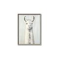 Picture of Brown and White Llama _GroupedProduct_Rectangle_Portrait_Mini_ _GroupedProduct_Rectangle_Portrait_Canvas_Framed_