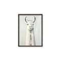 Picture of Brown and White Llama _GroupedProduct_Rectangle_Portrait_Mini_ _GroupedProduct_Rectangle_Portrait_Canvas_Framed_