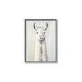 Picture of Brown and White Llama _GroupedProduct_Rectangle_Portrait_Mini_ _GroupedProduct_Rectangle_Portrait_Canvas_Framed_