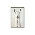 Picture of Brown and White Llama _GroupedProduct_Rectangle_Portrait_Mini_ _GroupedProduct_Rectangle_Portrait_Canvas_Framed_