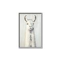 Picture of Brown and White Llama _GroupedProduct_Rectangle_Portrait_Mini_ _GroupedProduct_Rectangle_Portrait_Canvas_Framed_
