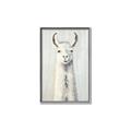 Picture of Brown and White Llama _GroupedProduct_Rectangle_Portrait_Mini_ _GroupedProduct_Rectangle_Portrait_Canvas_Framed_