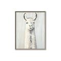 Picture of Brown and White Llama _GroupedProduct_Rectangle_Portrait_Mini_ _GroupedProduct_Rectangle_Portrait_Canvas_Framed_