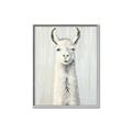 Picture of Brown and White Llama _GroupedProduct_Rectangle_Portrait_Mini_ _GroupedProduct_Rectangle_Portrait_Canvas_Framed_