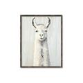 Picture of Brown and White Llama _GroupedProduct_Rectangle_Portrait_Mini_ _GroupedProduct_Rectangle_Portrait_Canvas_Framed_