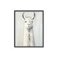 Picture of Brown and White Llama _GroupedProduct_Rectangle_Portrait_Mini_ _GroupedProduct_Rectangle_Portrait_Canvas_Framed_