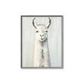 Picture of Brown and White Llama _GroupedProduct_Rectangle_Portrait_Mini_ _GroupedProduct_Rectangle_Portrait_Canvas_Framed_