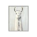 Picture of Brown and White Llama _GroupedProduct_Rectangle_Portrait_Mini_ _GroupedProduct_Rectangle_Portrait_Canvas_Framed_
