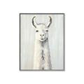Picture of Brown and White Llama _GroupedProduct_Rectangle_Portrait_Mini_ _GroupedProduct_Rectangle_Portrait_Canvas_Framed_