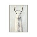 Picture of Brown and White Llama _GroupedProduct_Rectangle_Portrait_Mini_ _GroupedProduct_Rectangle_Portrait_Canvas_Framed_