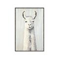 Picture of Brown and White Llama _GroupedProduct_Rectangle_Portrait_Mini_ _GroupedProduct_Rectangle_Portrait_Canvas_Framed_