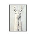 Picture of Brown and White Llama _GroupedProduct_Rectangle_Portrait_Mini_ _GroupedProduct_Rectangle_Portrait_Canvas_Framed_