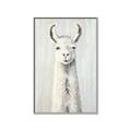 Picture of Brown and White Llama _GroupedProduct_Rectangle_Portrait_Mini_ _GroupedProduct_Rectangle_Portrait_Canvas_Framed_