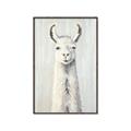 Picture of Brown and White Llama _GroupedProduct_Rectangle_Portrait_Mini_ _GroupedProduct_Rectangle_Portrait_Canvas_Framed_