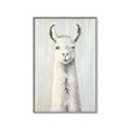 Picture of Brown and White Llama _GroupedProduct_Rectangle_Portrait_Mini_ _GroupedProduct_Rectangle_Portrait_Canvas_Framed_