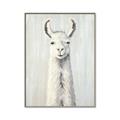 Picture of Brown and White Llama _GroupedProduct_Rectangle_Portrait_Mini_ _GroupedProduct_Rectangle_Portrait_Canvas_Framed_