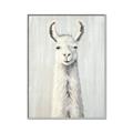 Picture of Brown and White Llama _GroupedProduct_Rectangle_Portrait_Mini_ _GroupedProduct_Rectangle_Portrait_Canvas_Framed_