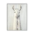 Picture of Brown and White Llama _GroupedProduct_Rectangle_Portrait_Mini_ _GroupedProduct_Rectangle_Portrait_Canvas_Framed_
