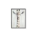 Picture of Close-up Giraffe _GroupedProduct_Rectangle_Portrait_Mini_ _GroupedProduct_Rectangle_Portrait_Canvas_Framed_