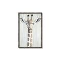 Picture of Close-up Giraffe _GroupedProduct_Rectangle_Portrait_Mini_ _GroupedProduct_Rectangle_Portrait_Canvas_Framed_